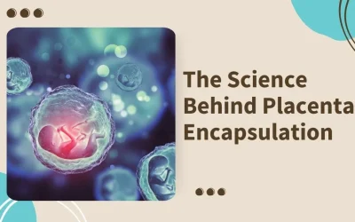 The Science Behind Placenta Encapsulation