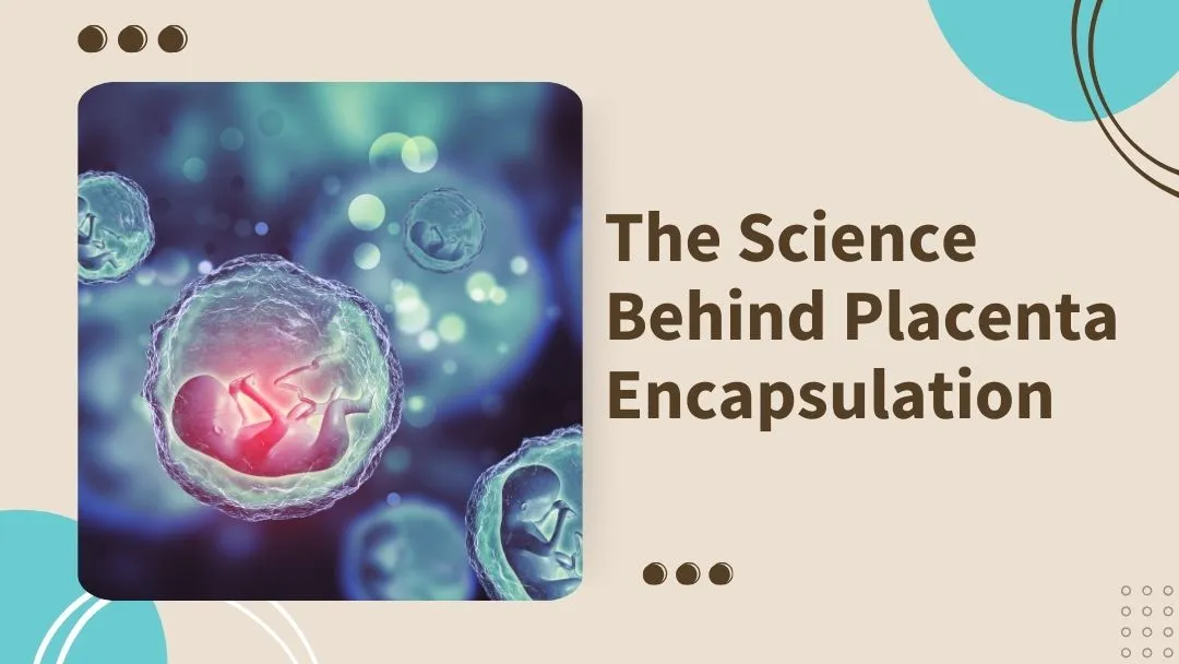 the science behind placenta encapsulation