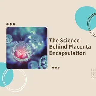 the science behind placenta encapsulation image