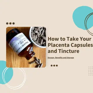 A brown glass bottle and scattered placenta capsules on a wooden surface, with the title 'How to Take Your Placenta Capsules and Tincture — Dosage, Benefits and Storage' displayed alongside teal decorative accents on a beige background.